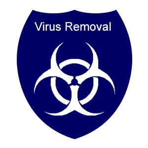 Virus and Malware Removal